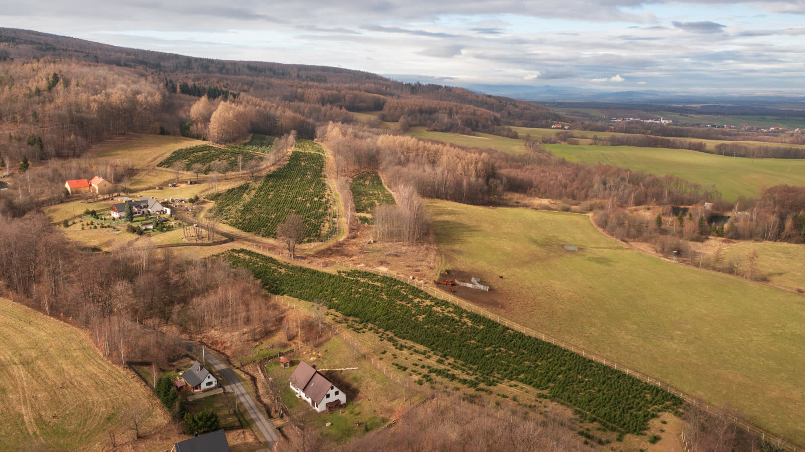 Tam, gdzie rosną Święta. Panorama Gór Rychlebskich.